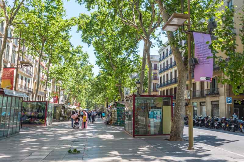 Barcelona, Cataluña, España: vista general de La Rambla, paseo arbolado con kioskos de flores, calle principal del centro de Barcelona