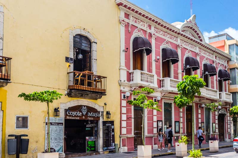 merida yucatan mexico calle 60 - What to see and eat in Mérida (Mexico) - Drive me Foody